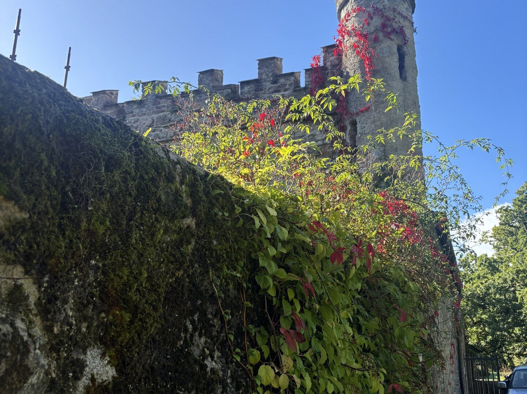 Huntington Castle-Clonegal必去景点