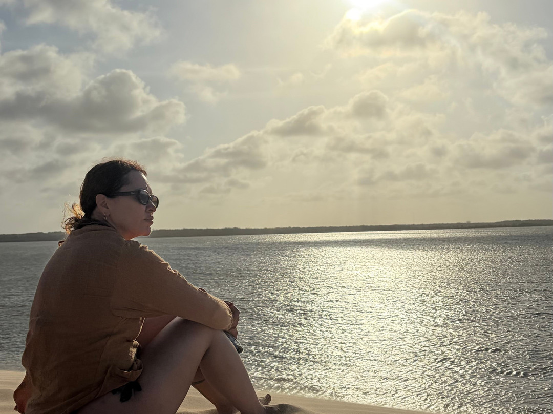 Guará Transfer & Tourism - Barra Grande-Barra Grande必去景点