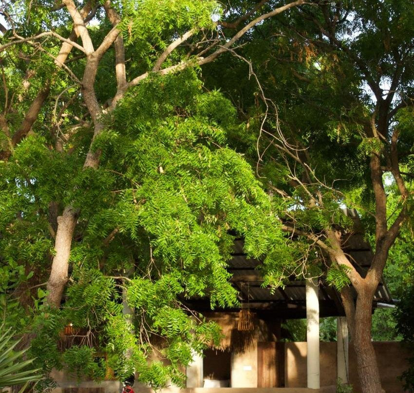 Lahara - Komari
