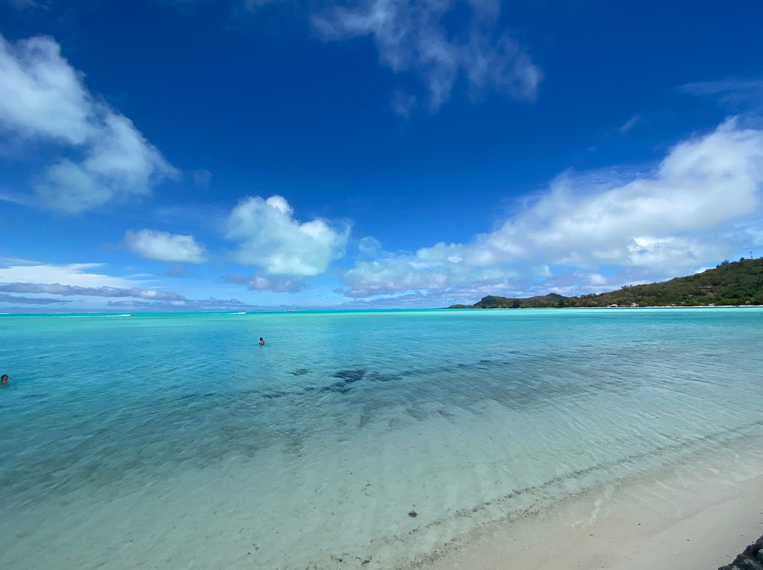 Avis Bora Bora-瓦伊塔佩必去景点
