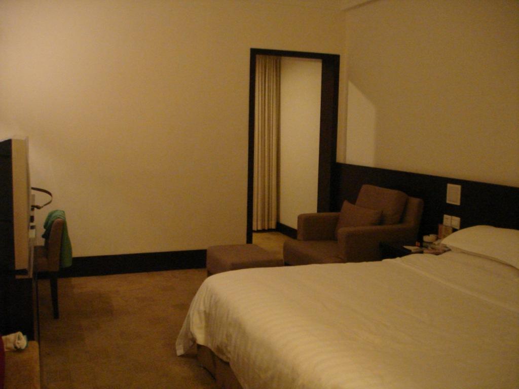 东辰大酒店-客卧