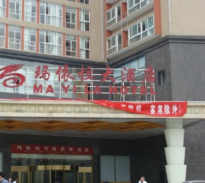 玛依拉大酒店-客卧