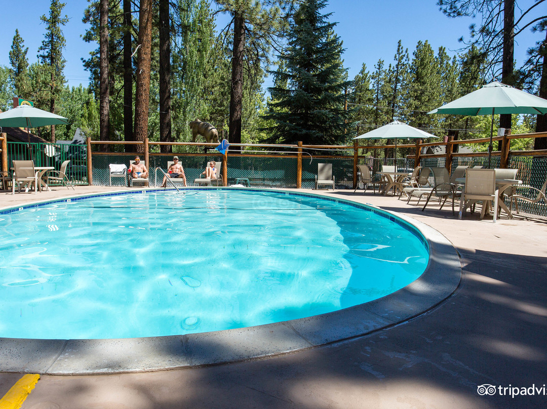 Forest Falls酒店住宿-Golden Bear Cottages