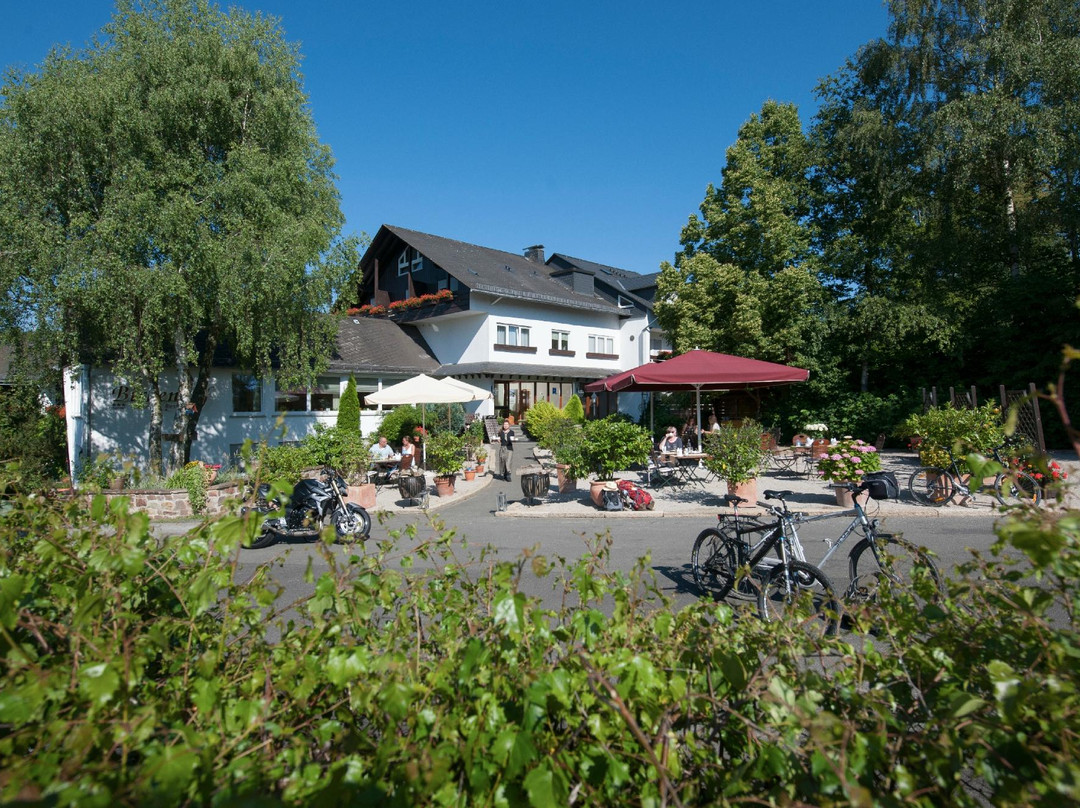 Argenthal酒店住宿-Landidyll Hotel Birkenhof