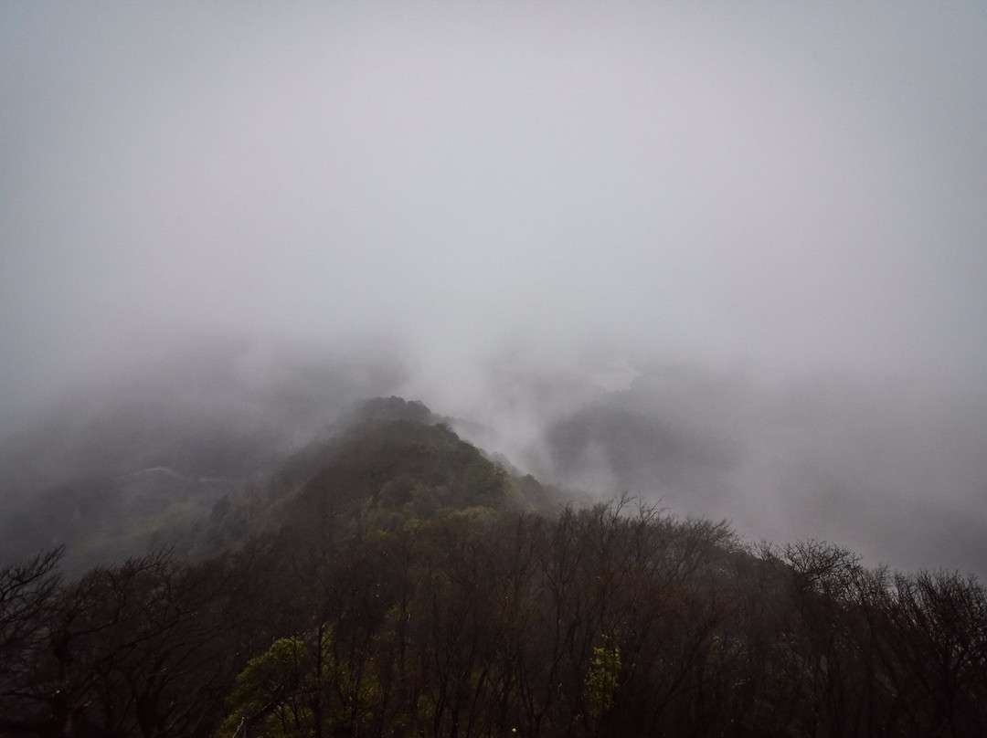 宽阔水原始森林景点图片