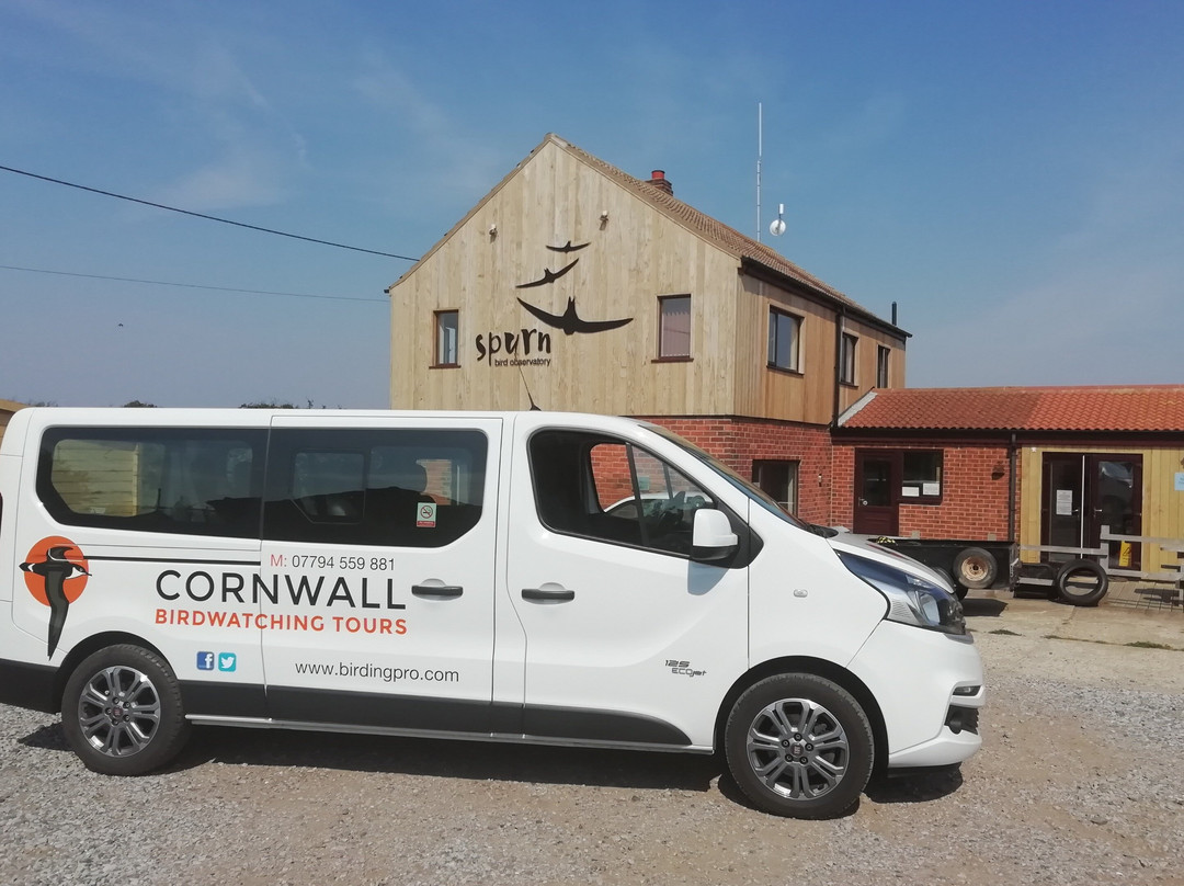 Cornwall Birdwatching Tours景点图片