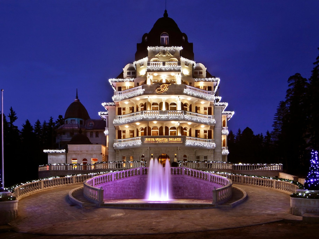 费斯塔冬宫酒店主图