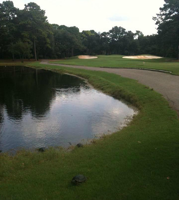 Litchfield Country Club-帕利斯岛必去景点