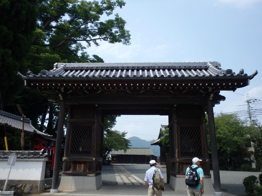 Sasayama Kasuga Shrine景点图片