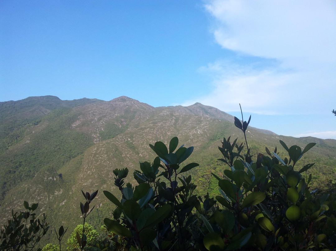 Mount Tahan景点图片
