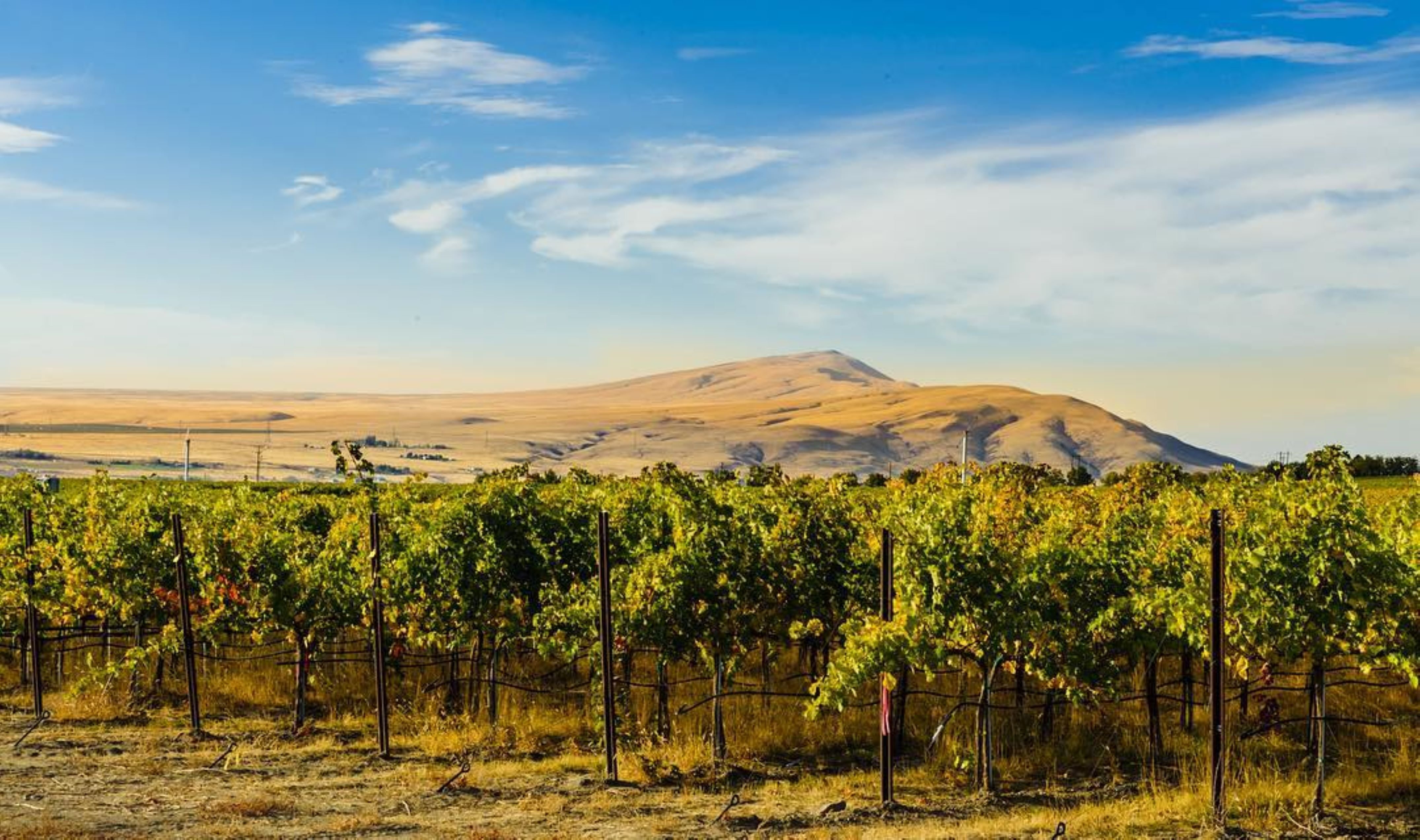 Holiday Inn Express & Suites Union Gap - Yakima Area By IHG-官方