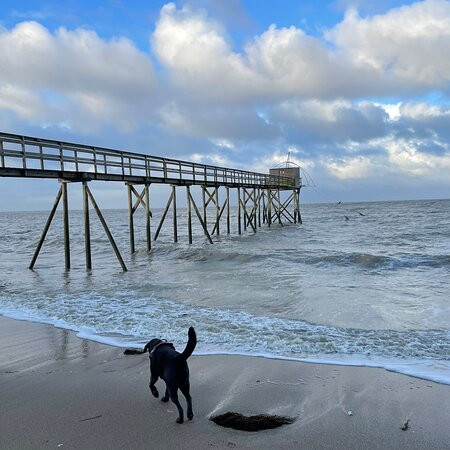 Domaine Hortensias主图