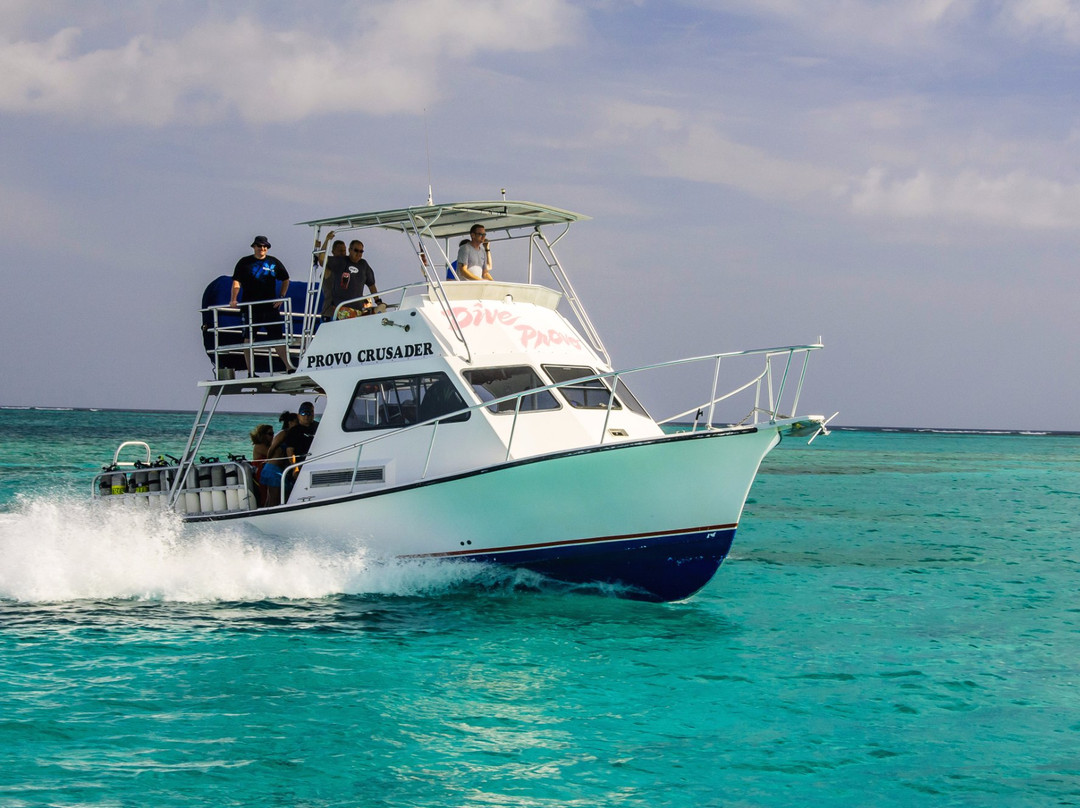 Dive Provo-普罗维登西亚莱斯必去景点