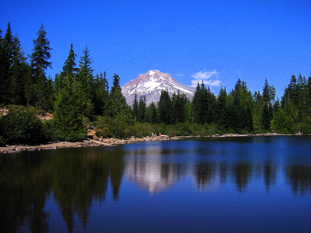 Mount Hood National Forest景点图片