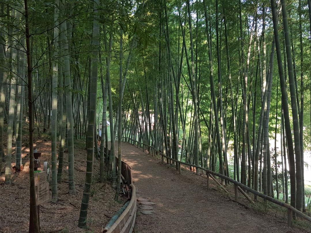 巨济市旅游景点-Maengjongjuk Theme Park