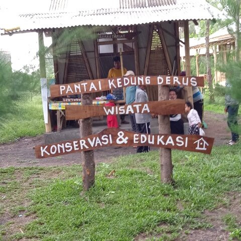Pantai Kedung Derus景点图片