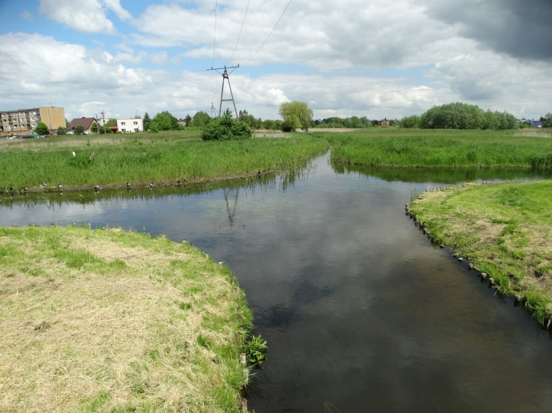 Skrzyżowanie rzek w Wągrowcu景点图片