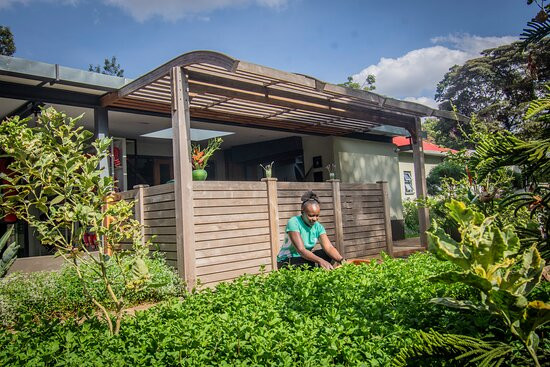 Dojo Wellness Club-Karen必去景点