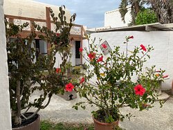 Alternative Space B & B-官方