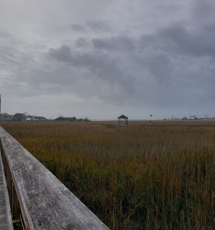 Shem Creek Park-芒特普莱森特必去景点