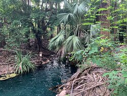 Elsey National Park-Mataranka必去景点