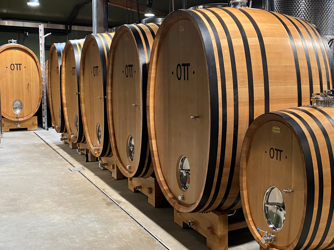 Weingut Bernhard Ott景点图片