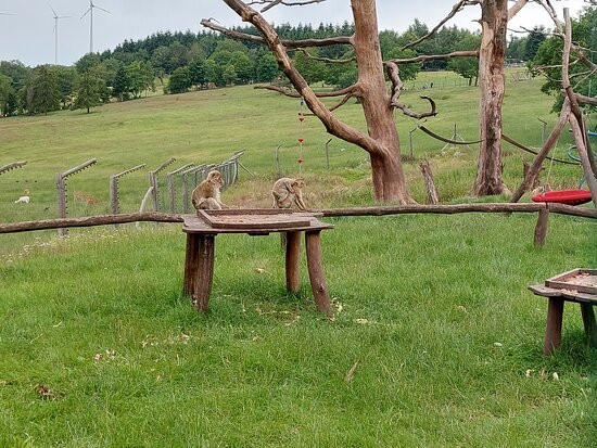 Naturwildpark Freisen-Freisen必去景点