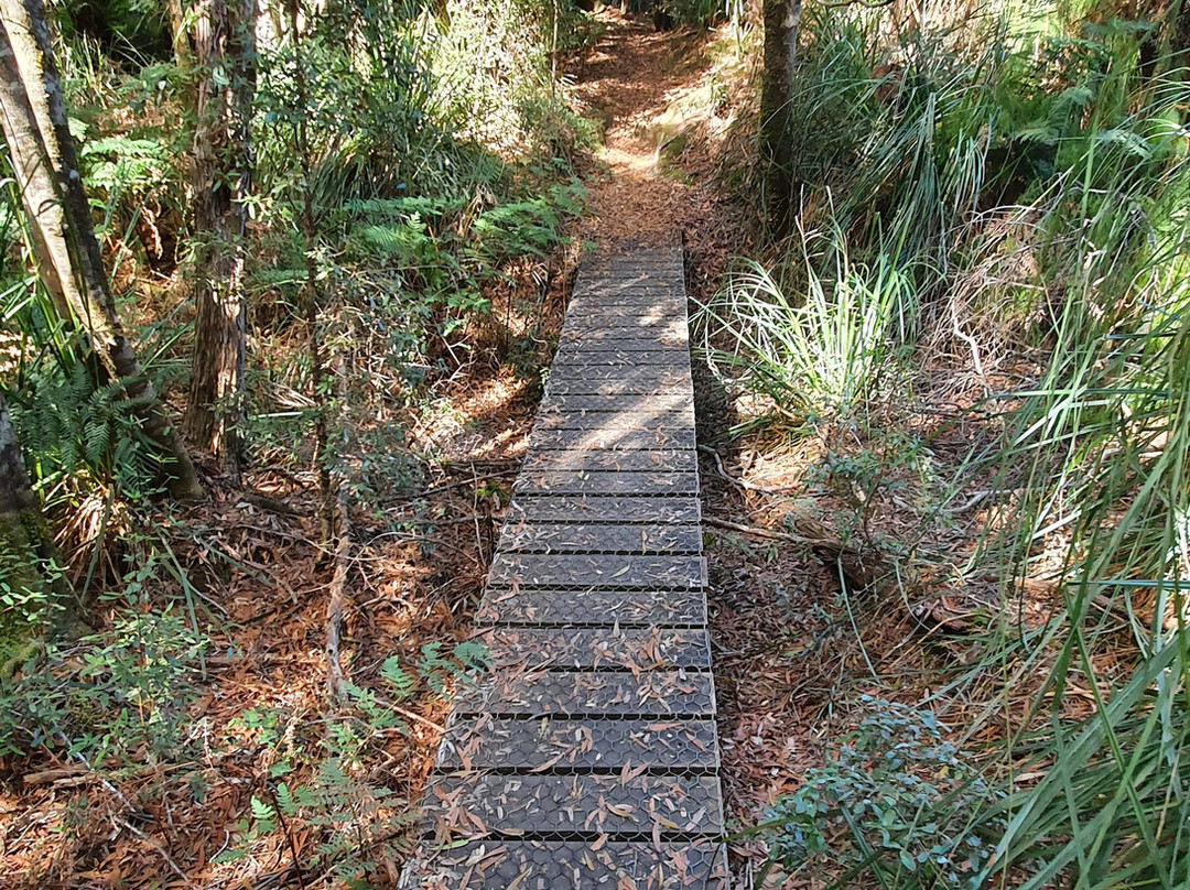 Whyte River Track-Corinna必去景点