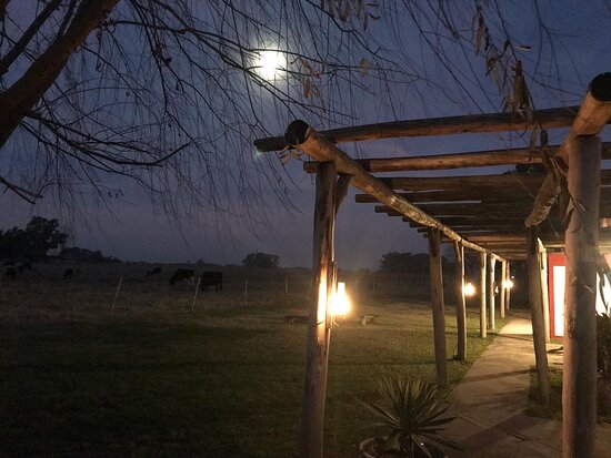 Hotel Finca Maria Cristina-酒店景观