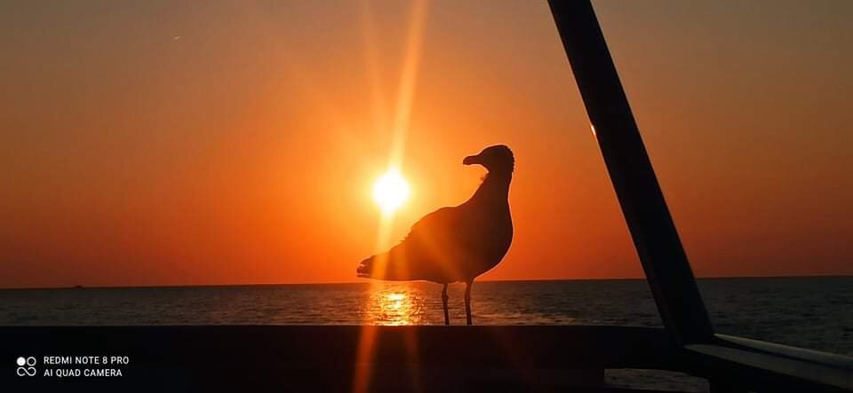Orion Travel Pula-普拉必去景点