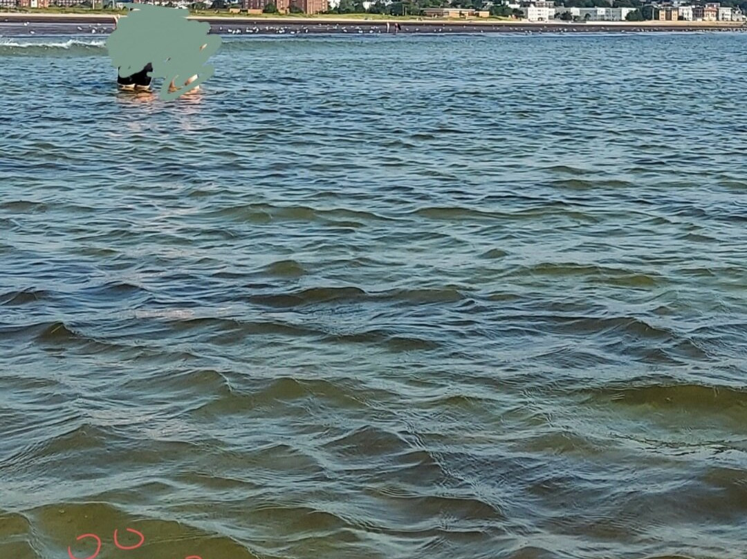 Nahant Beach-Nahant必去景点