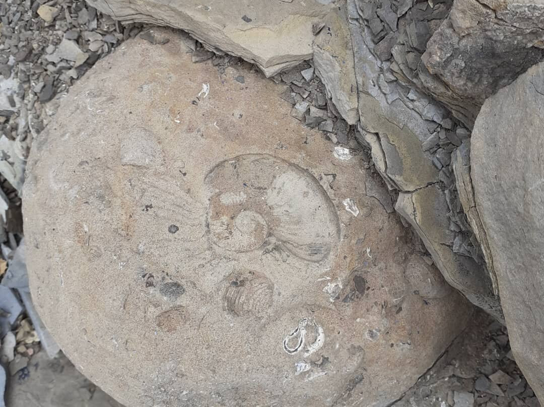 Cascada Maqui Malal-Malargue必去景点