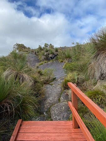 Mount Chudalup-Northcliffe必去景点