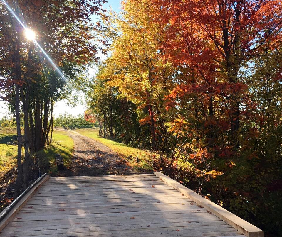 Vergers Rockburn Orchards-Hinchinbrooke必去景点