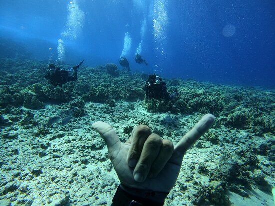 Maui Dreams Dive Co.-基黑必去景点