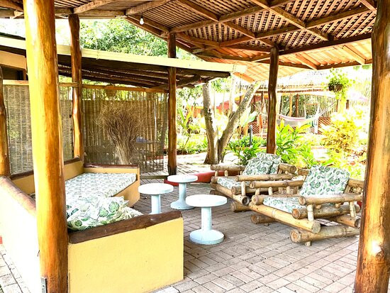 Hotel Flying Crocodile主图