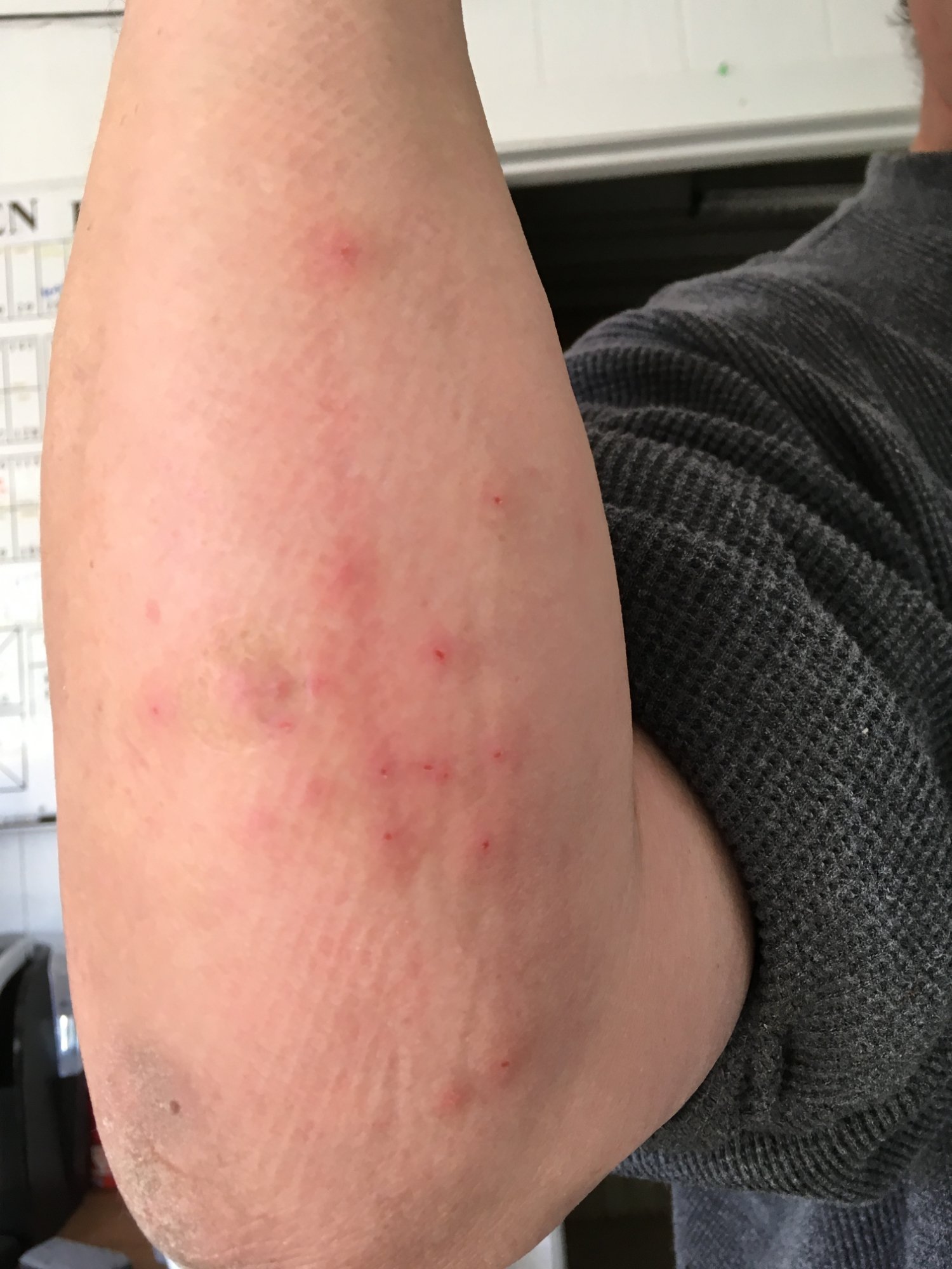 Apache Junction Motel-官方