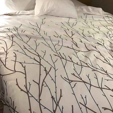 Best Western Temple Inn & Suites主图