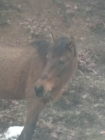 Hotel Titagion主图