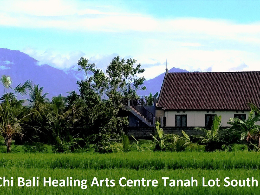 Tai Chi Bali Healing Arts Centre景点图片