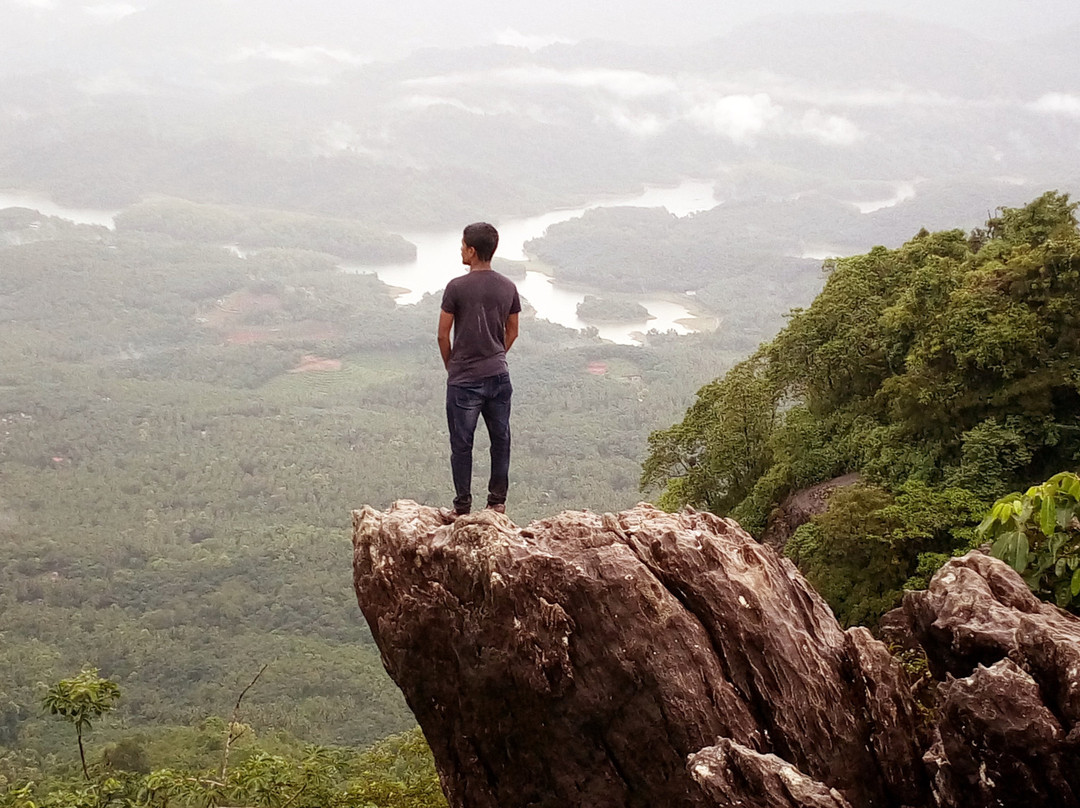 Vayalada View Point景点图片