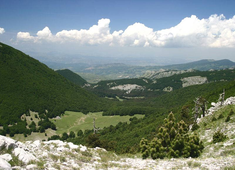 San Donato di Ninea旅游攻略图片