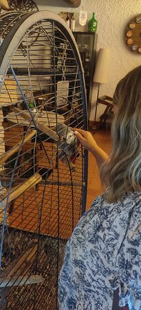 Varanda do Alentejo主图