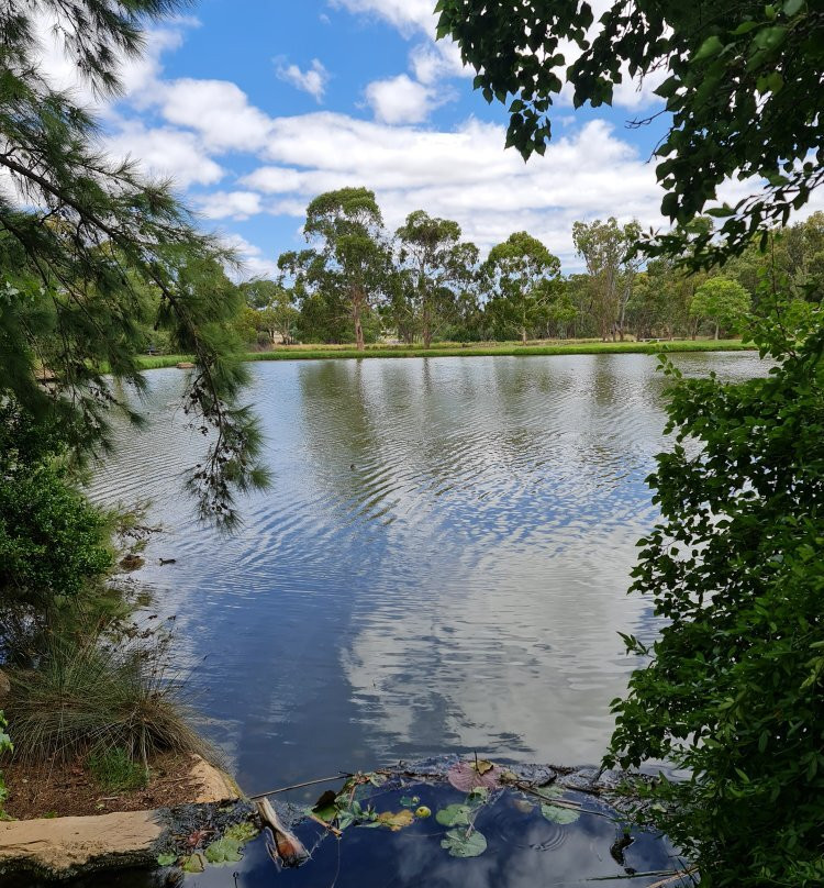 Lambing Flat Chinese Tribute Garden-Young必去景点