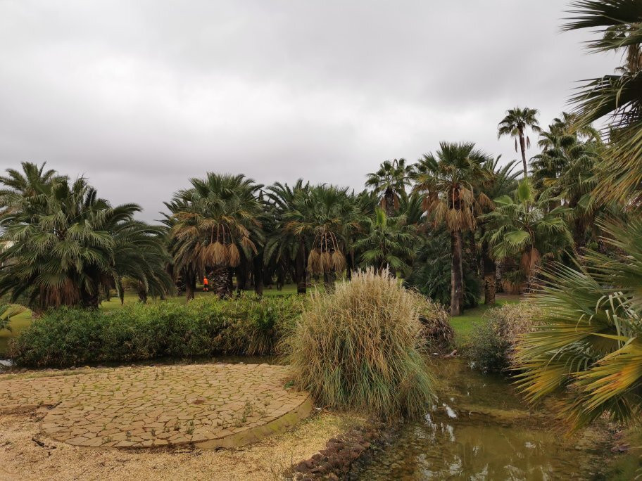 Parque Forestal Juan Carlos I-梅利利亚必去景点