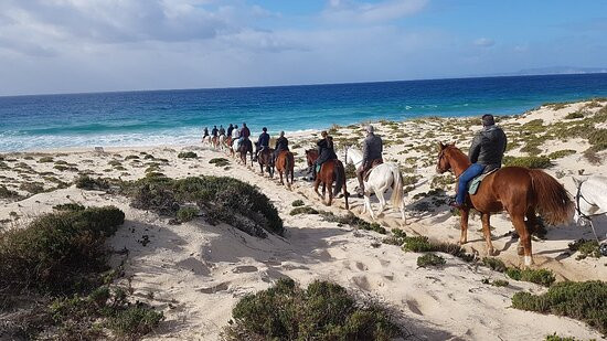 Cavalos na Areia-Comporta必去景点