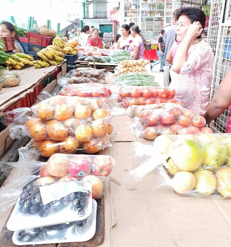 Plaza Principal de Girardot-Girardot必去景点