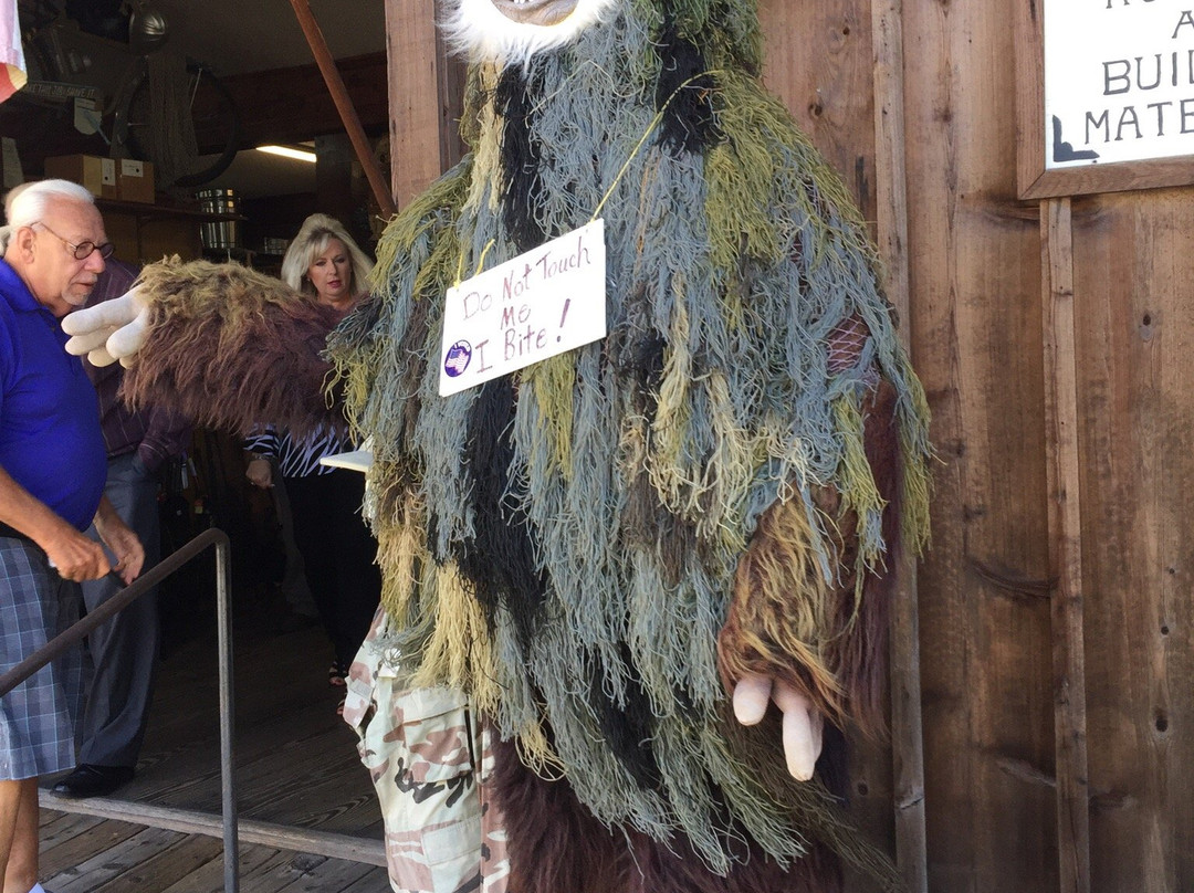 Smith H J & Sons General Store and Museum-卡温顿必去景点