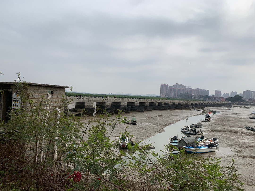 洛阳桥景点图片