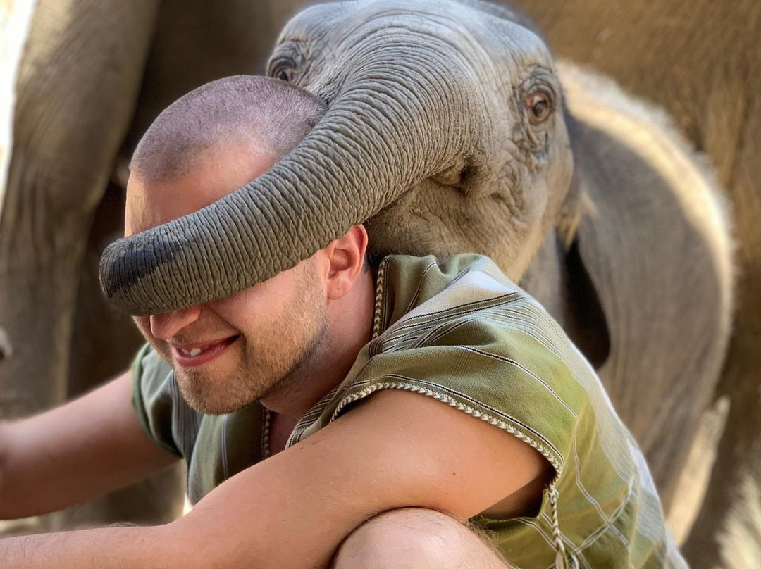 Elephant Pride Sanctuary-清迈必去景点